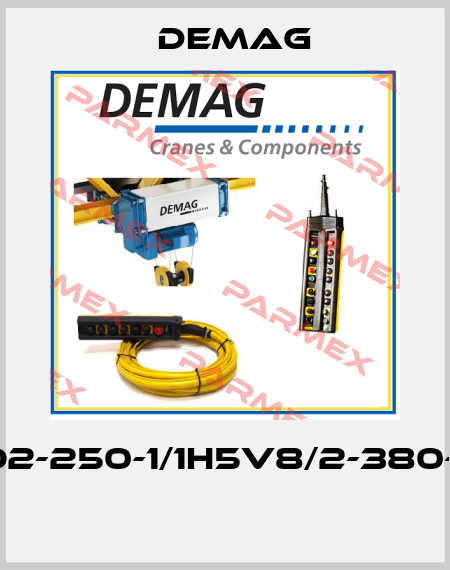 RU11DC-Pro2-250-1/1H5V8/2-380-415/50-200  Demag