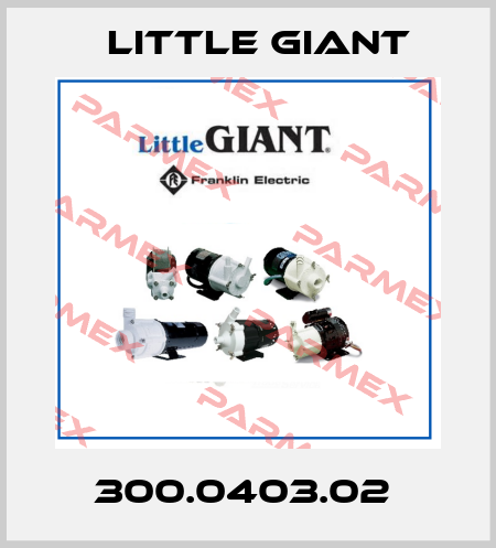 300.0403.02  Little Giant