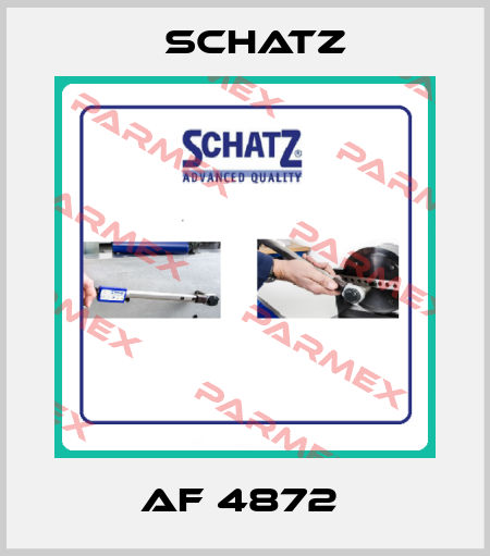 AF 4872  Schatz