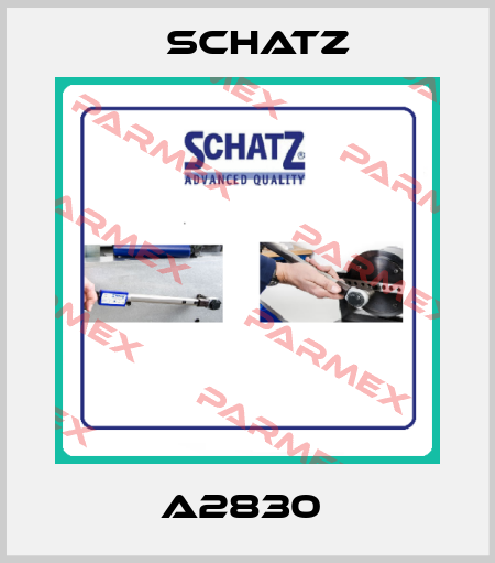 A2830  Schatz