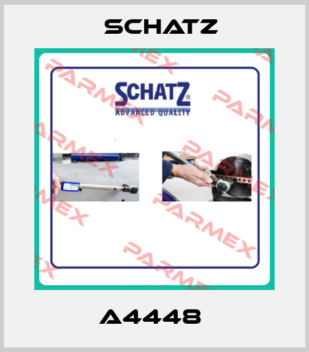A4448  Schatz