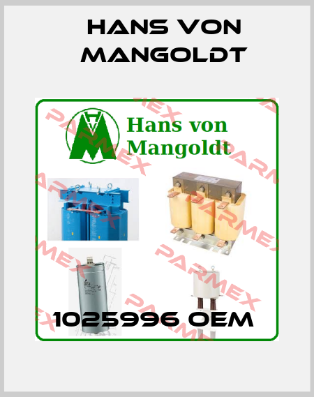 1025996 OEM  Hans von Mangoldt