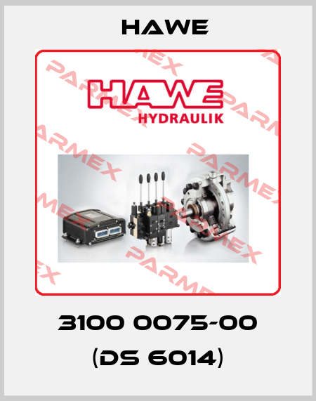 3100 0075-00 (DS 6014) Hawe