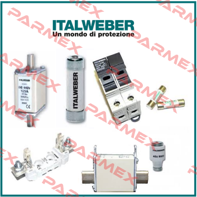 0910951  Italweber