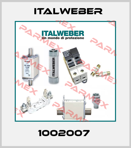 1002007  Italweber