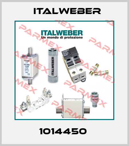 1014450  Italweber