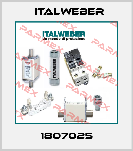 1807025 Italweber