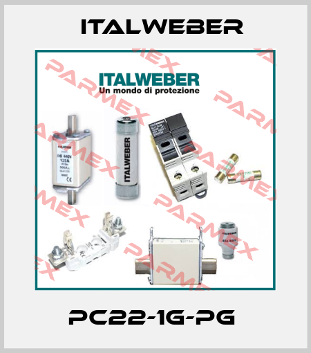 PC22-1G-PG  Italweber