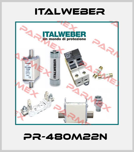 PR-480M22N  Italweber