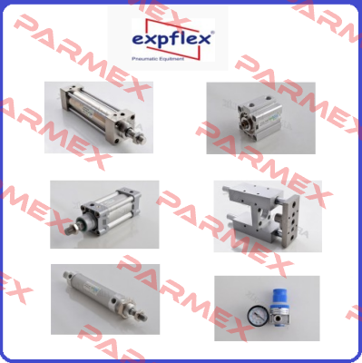 3V210-08  EXPFLEX