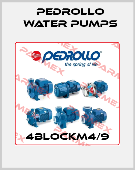 4BLOCKm4/9 Pedrollo Water Pumps