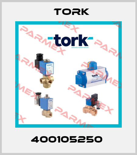 400105250  Tork