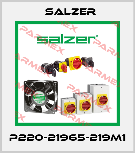 P220-21965-219M1 Salzer
