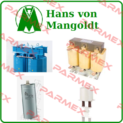 3UI132/72  Hans von Mangoldt