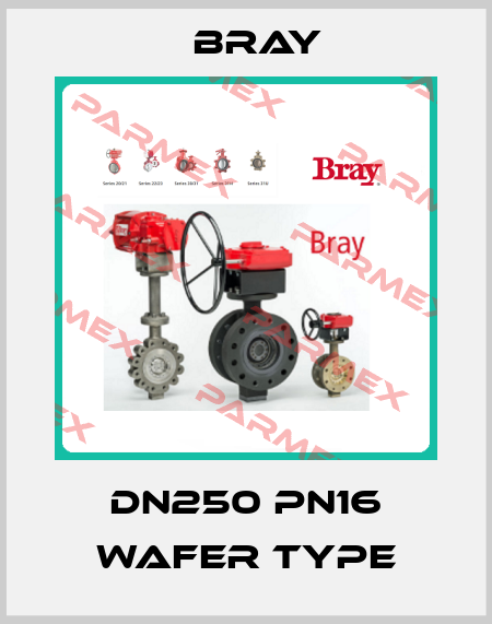 DN250 PN16 Wafer Type Bray
