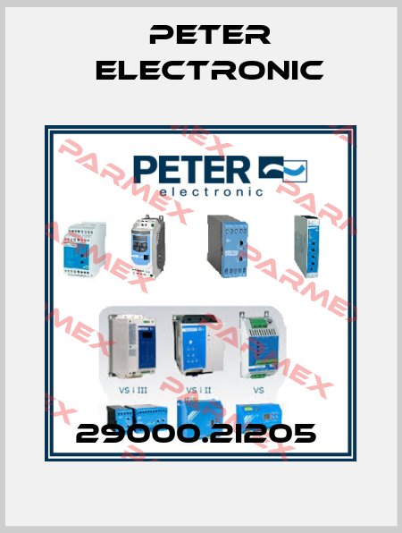 29000.2I205  Peter Electronic