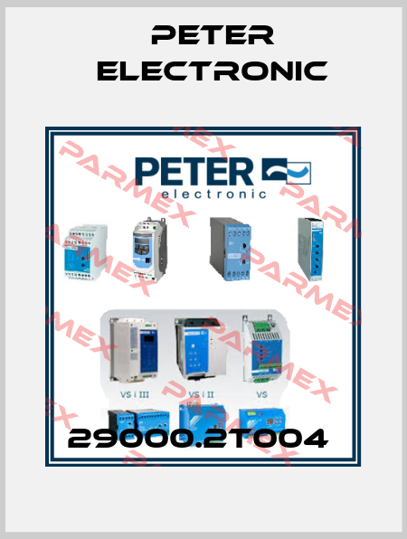 29000.2T004  Peter Electronic