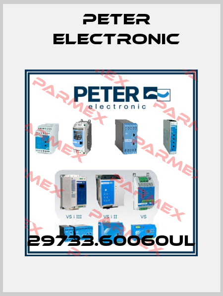 29733.60060UL Peter Electronic