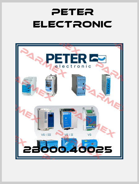 2B000.40025  Peter Electronic