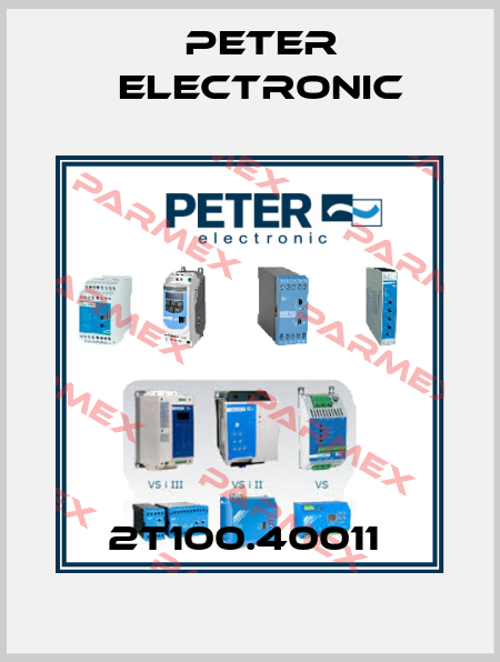 2T100.40011  Peter Electronic