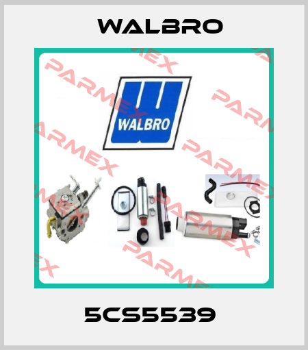 5CS5539  Walbro
