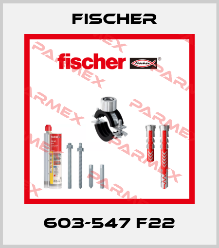 603-547 F22 Fischer