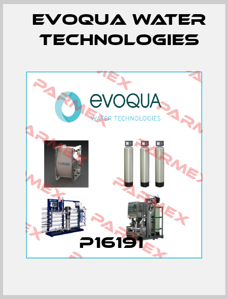 P16191  Evoqua Water Technologies