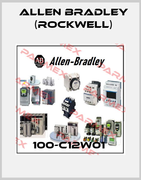 100-C12W01  Allen Bradley (Rockwell)