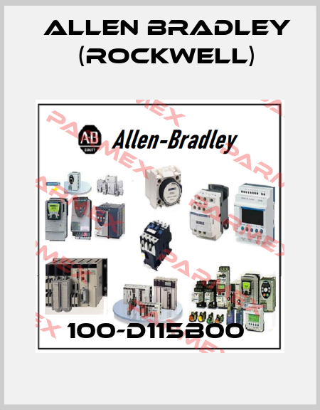 100-D115B00  Allen Bradley (Rockwell)