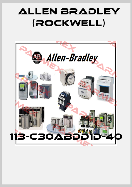 113-C30ABDD1D-40  Allen Bradley (Rockwell)