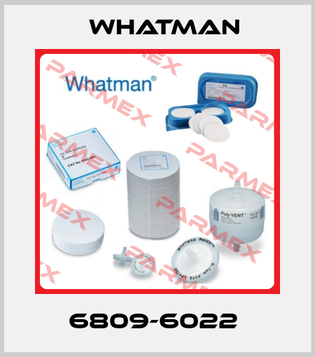 6809-6022  Whatman