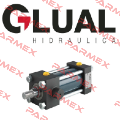 100/70X880 Glual Hydraulics
