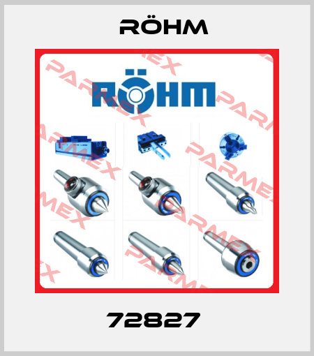 72827  Röhm