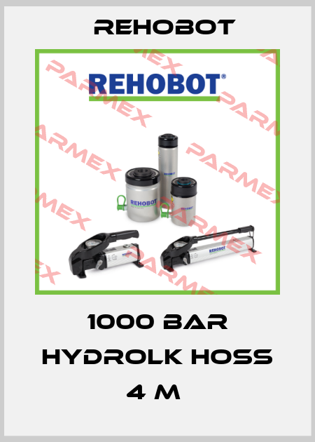 1000 BAR HYDROLK HOSS 4 M  Rehobot