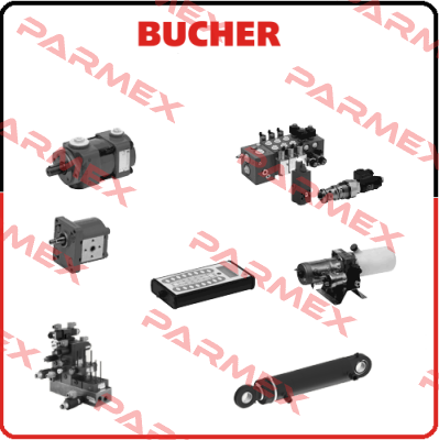 P/N: 100028996, Type: QPHX2-013/31-032/21-016R90 Bucher