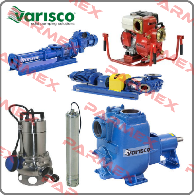 10005895  Varisco pumps