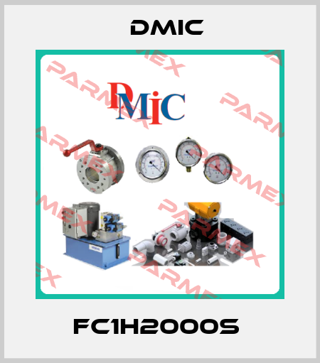 FC1H2000S  DMIC
