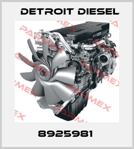 8925981  Detroit Diesel