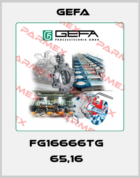 FG16666TG   65,16   Gefa