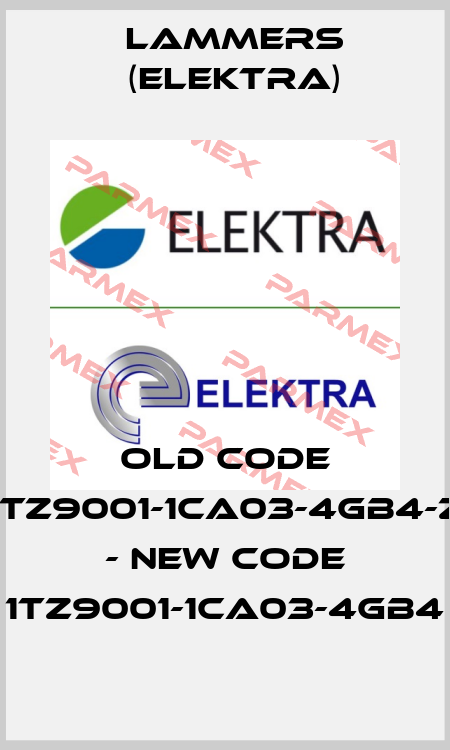 old code 1TZ9001-1CA03-4GB4-Z - new code 1TZ9001-1CA03-4GB4 Lammers (Elektra)