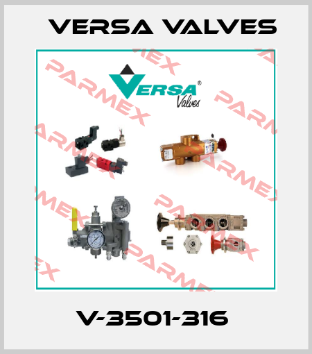 V-3501-316  Versa Valves