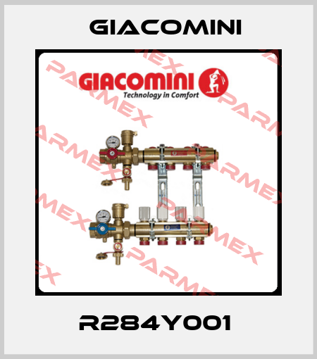 R284Y001  Giacomini