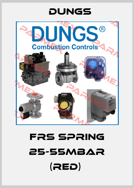 FRS Spring 25-55mbar (red)  Dungs