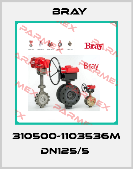 310500-1103536M   DN125/5  Bray