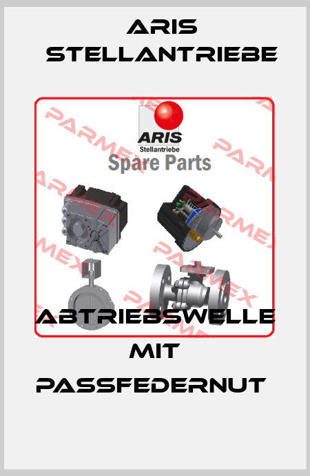 Abtriebswelle mit Passfedernut  ARIS Stellantriebe