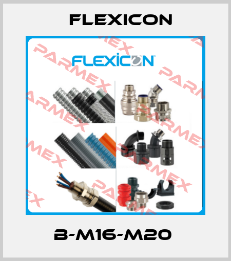 B-M16-M20  Flexicon