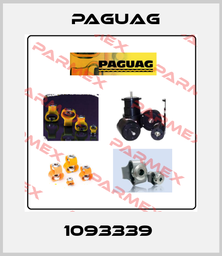 1093339  Paguag