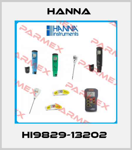 HI9829-13202  Hanna