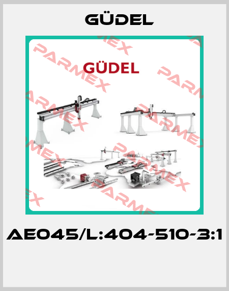 AE045/L:404-510-3:1  Güdel