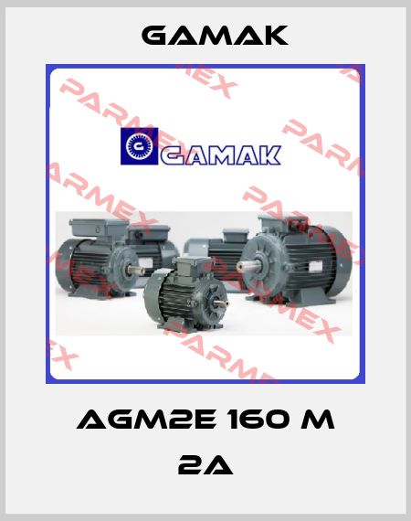 AGM2E 160 M 2A Gamak